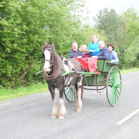 Wayside V93xk6c 3* Beaufort