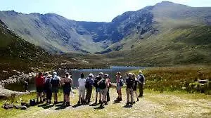 Bed & Breakfast Wayside V93xk6c 3*