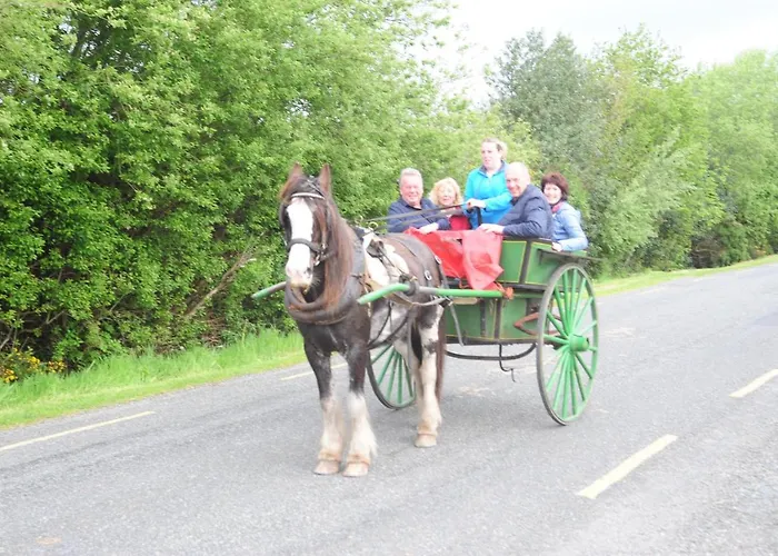 Wayside V93xk6c 3* Beaufort