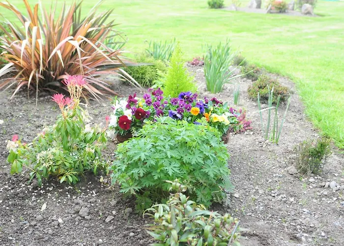 Wayside V93xk6c 3* Beaufort