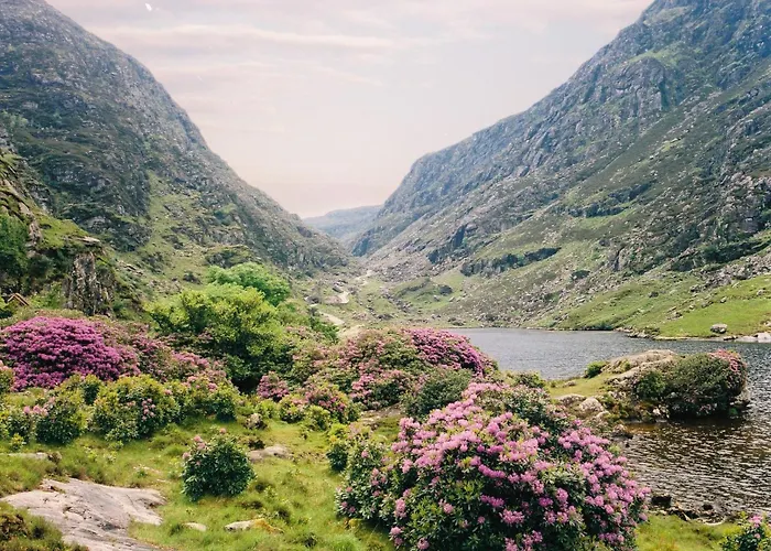 Wayside V93xk6c 波弗特